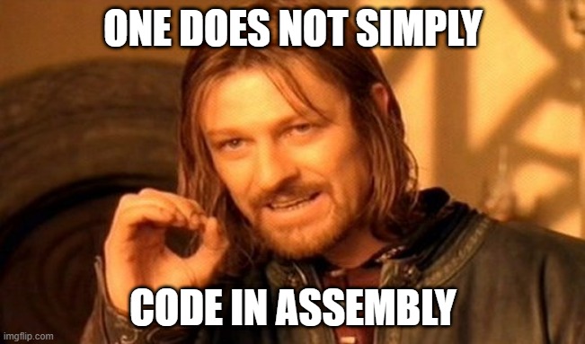 One Does Not Simply Code in Assembly